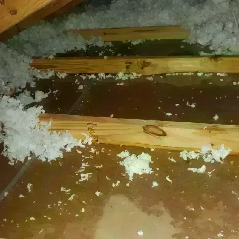 Attic Water Damage in Warrenton, MO